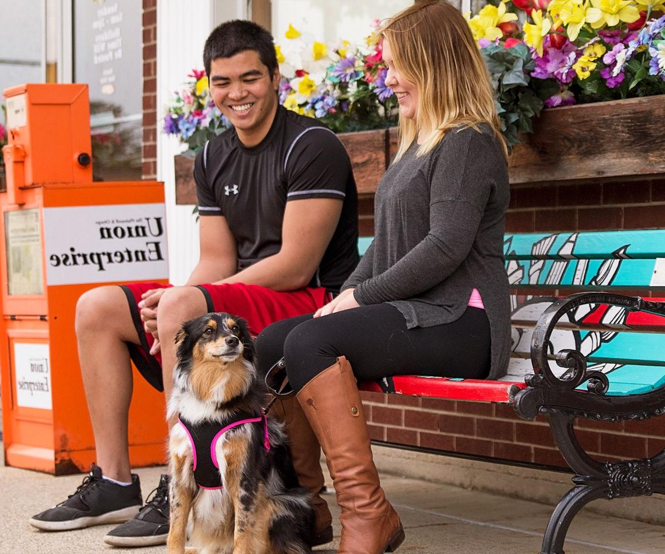 couple and dog on bench